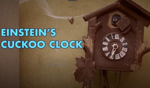einstein's cuckoo clock